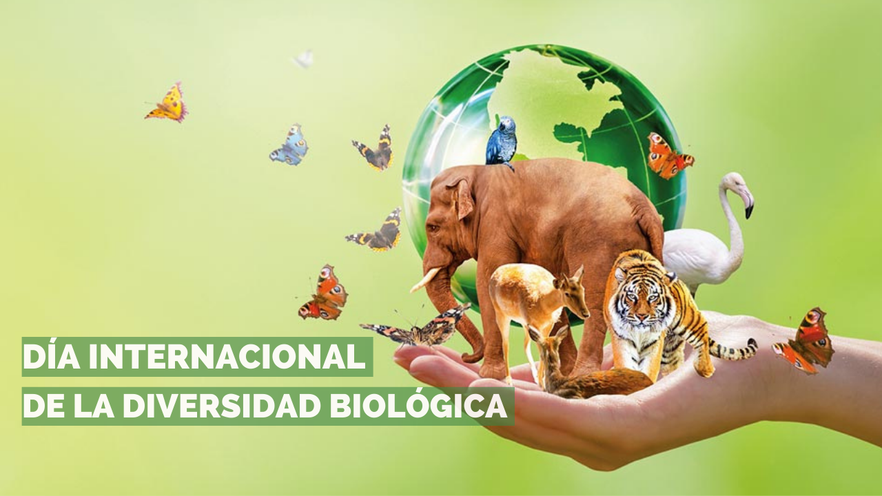 CONCIENCIA Y CONSERVACIÓN: DÍA INTERNACIONAL DE LA DIVERSIDAD BIOLÓGICA