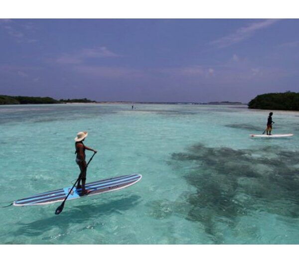 ¡Descubre la emoción del paddle surf en los paradisíacos cayos de Los Roques!