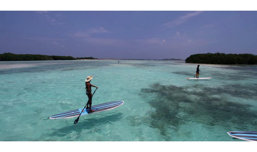 ¡Descubre la emoción del paddle surf en los paradisíacos cayos de Los Roques!