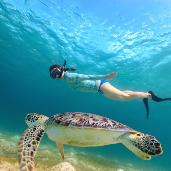 ¡Explora las maravillas marinas del Archipiélago Los Roques con la emocionante práctica de snorkel!