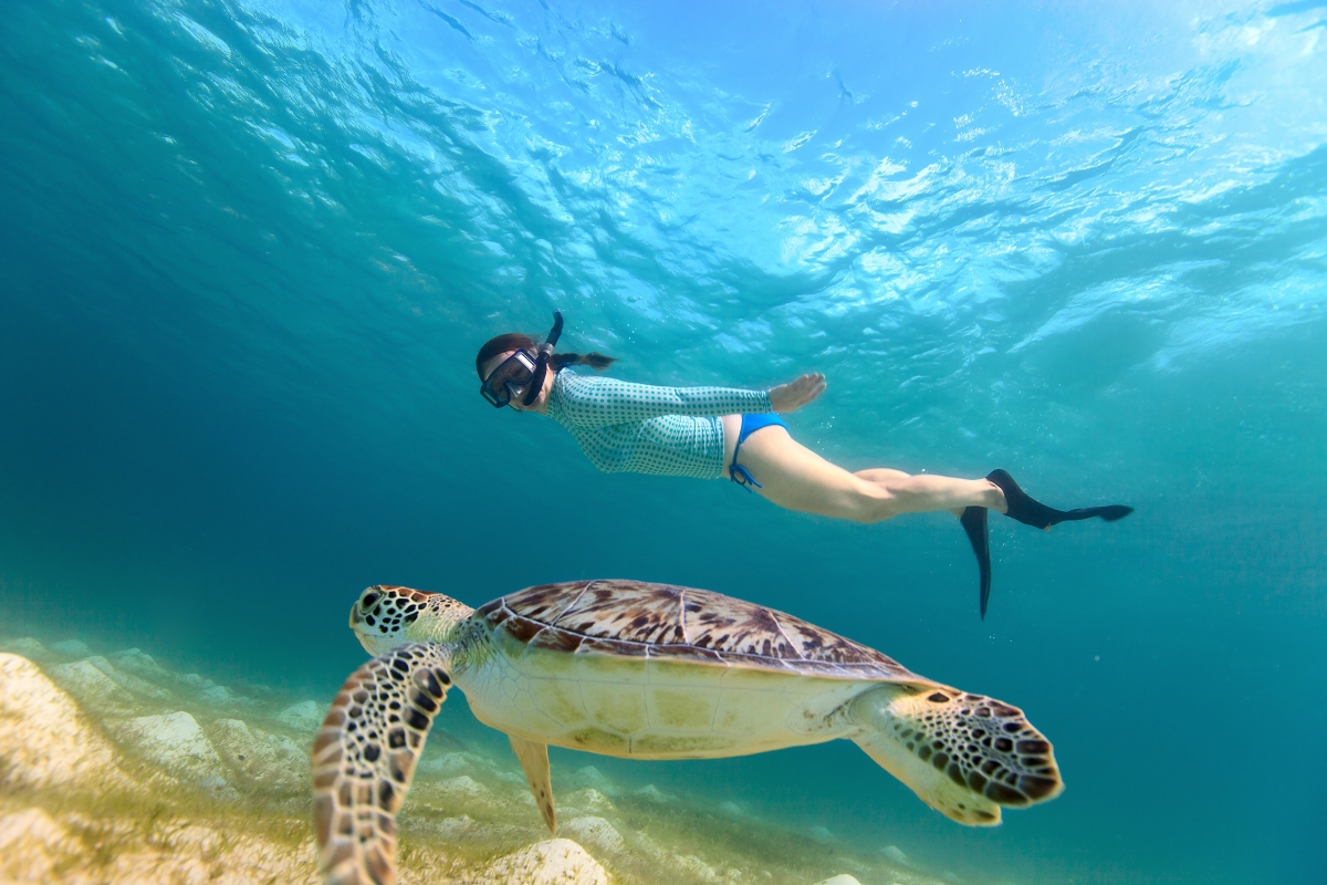 ¡Explora las maravillas marinas del Archipiélago Los Roques con la emocionante práctica de snorkel!