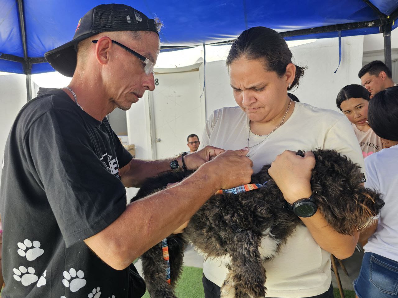 Por una comunidad con mascotas saludables: El TIFM celebró exitosa jornada de atención veterinaria